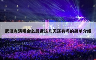 武汉有演唱会么最近这几天还有吗的简单介绍