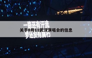 关于8月11武汉演唱会的信息