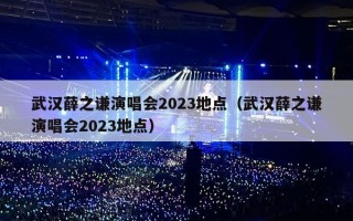 武汉薛之谦演唱会2023地点（武汉薛之谦演唱会2023地点）