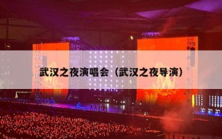 武汉之夜演唱会（武汉之夜导演）