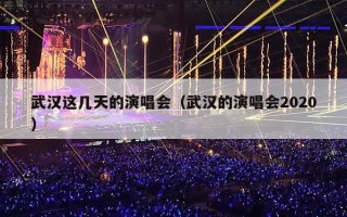 武汉这几天的演唱会（武汉的演唱会2020）