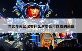 包含今天武汉有什么演唱会可以看的词条