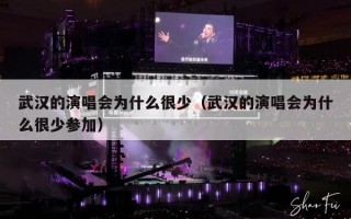 武汉的演唱会为什么很少（武汉的演唱会为什么很少参加）