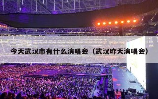 今天武汉市有什么演唱会（武汉昨天演唱会）