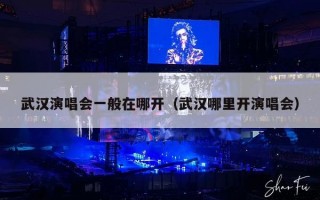 武汉演唱会一般在哪开（武汉哪里开演唱会）