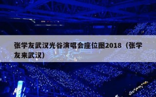 张学友武汉光谷演唱会座位图2018（张学友来武汉）