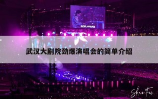 武汉大剧院劲爆演唱会的简单介绍