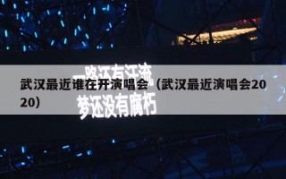 武汉最近谁在开演唱会（武汉最近演唱会2020）