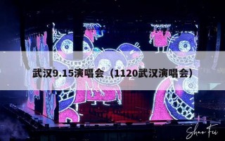 武汉9.15演唱会（1120武汉演唱会）