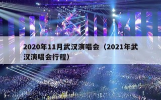 2020年11月武汉演唱会（2021年武汉演唱会行程）