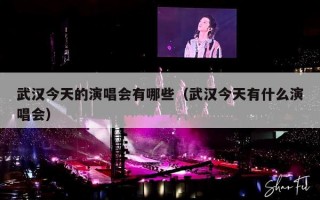 武汉今天的演唱会有哪些（武汉今天有什么演唱会）