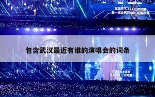 包含武汉最近有谁的演唱会的词条