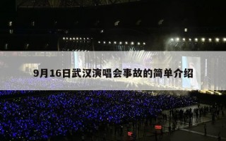 9月16日武汉演唱会事故的简单介绍