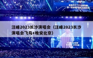 汪峰2023长沙演唱会（汪峰2023长沙演唱会飞鸟+晚安北京）