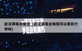 武汉演唱会场馆（武汉演唱会场馆可以寄存行李吗）