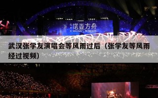 武汉张学友演唱会等风雨过后（张学友等风雨经过视频）