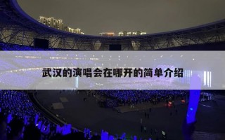 武汉的演唱会在哪开的简单介绍