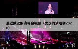 最近武汉的演唱会视频（武汉的演唱会2020）