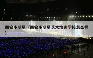 西安小明星（西安小明星艺术培训学校怎么样）
