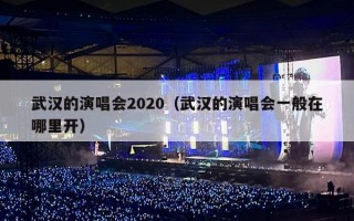 武汉的演唱会2020（武汉的演唱会一般在哪里开）