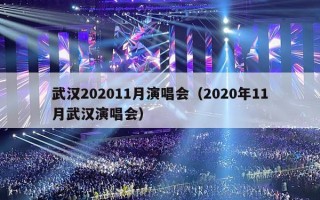 武汉202011月演唱会（2020年11月武汉演唱会）