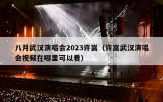 八月武汉演唱会2023许嵩（许嵩武汉演唱会视频在哪里可以看）