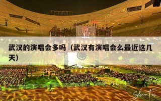 武汉的演唱会多吗（武汉有演唱会么最近这几天）