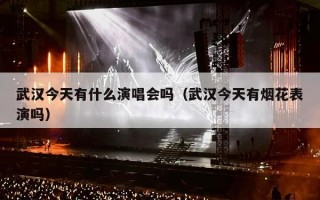 武汉今天有什么演唱会吗（武汉今天有烟花表演吗）