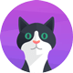 https://501h.com/fugu/2024-10-29/45693.html