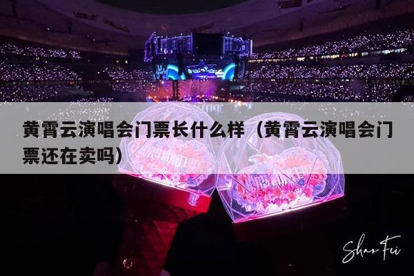 黄霄云演唱会门票长什么样(黄霄云演唱会门票还在卖吗)