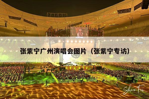 张紫宁广州演唱会图片(张紫宁专访)